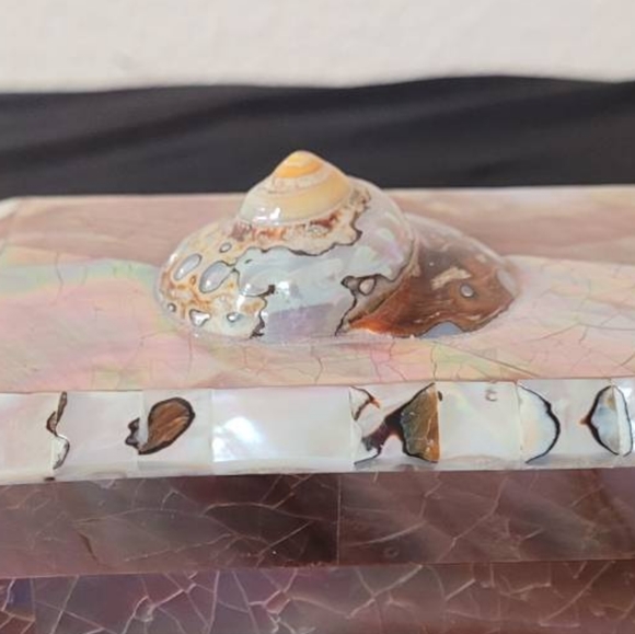 Turbo Tiger Shell Vintage Penshell Box - Picture 6 of 11